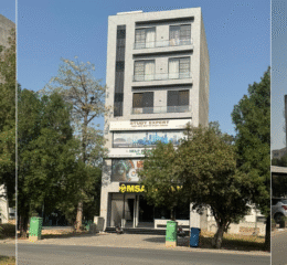 Properties 10 5 Marla Commercial Plaza
