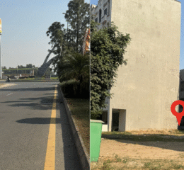 Properties 5 commercial plot